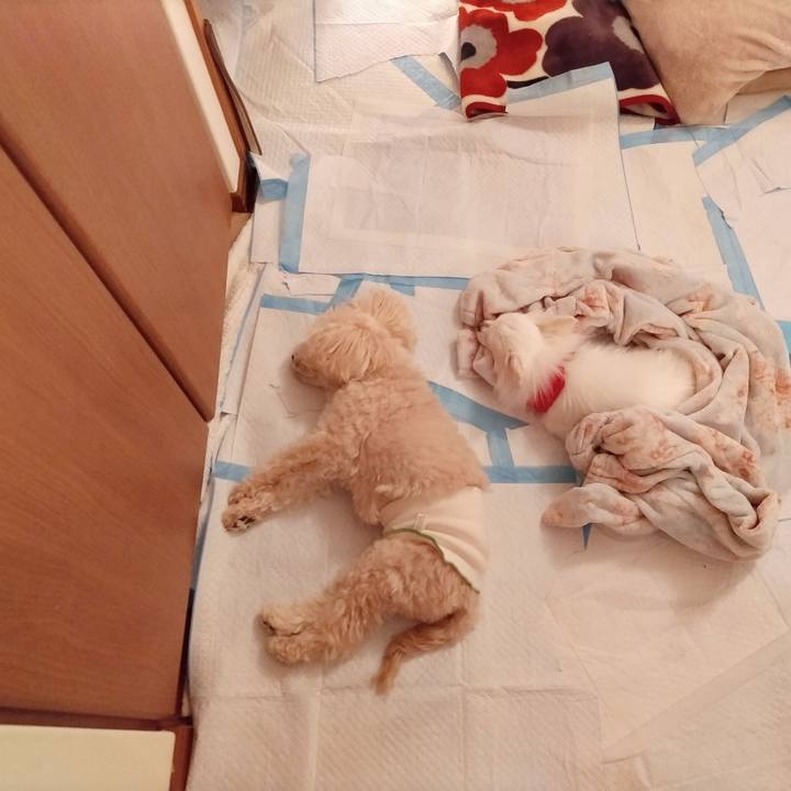 7c718cca 1433 4b9a 8f0a 2a6b3af2ad6d 1687872436120