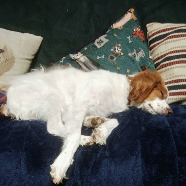 7c71a4b0 3426 4235 bb5e 772c84ce35da 1540286378641