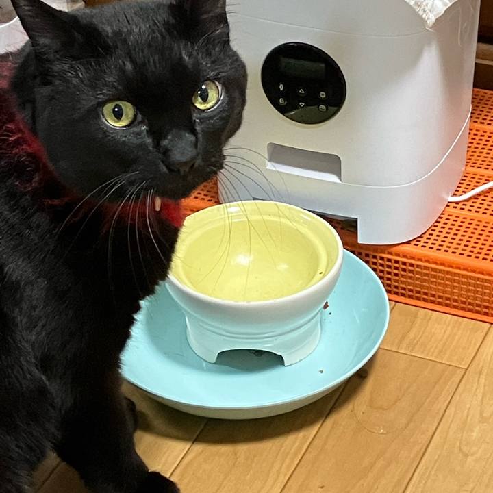 7c71a5a6 e49f 46cf 9a4b 192600345a40 1668585638608