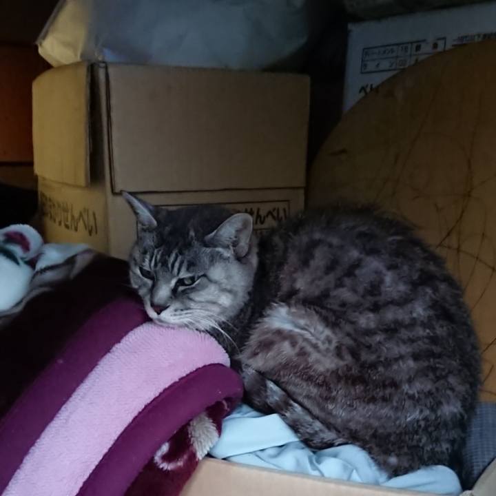 7c71ddda 92f9 4afa a9ad ee78b7e3e758 1570265396327