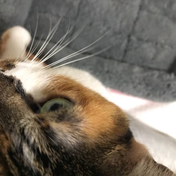 7c71e16d e141 4737 983e 9a8cd0c644f1 1572453085530