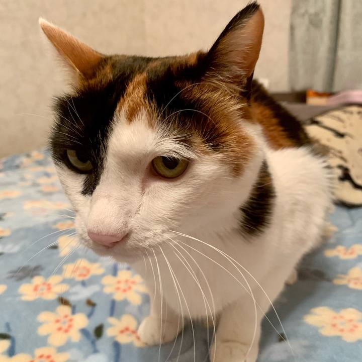 7c722c2e 3334 403e a241 c885e498f1f9 1611490316408