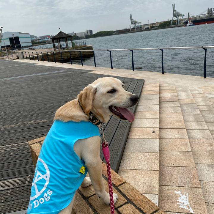 7c723679 3682 4283 838a fb7eb1ed9b3c 1620621151886