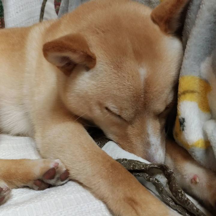 7c723d2f 3667 4367 8287 f59e4e442cc8 1518612127001