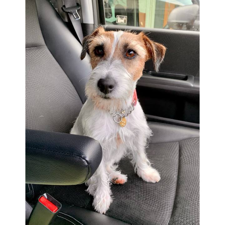 7c7247f3 bcc2 48e5 aa2d d57c528f0634 1624536523313