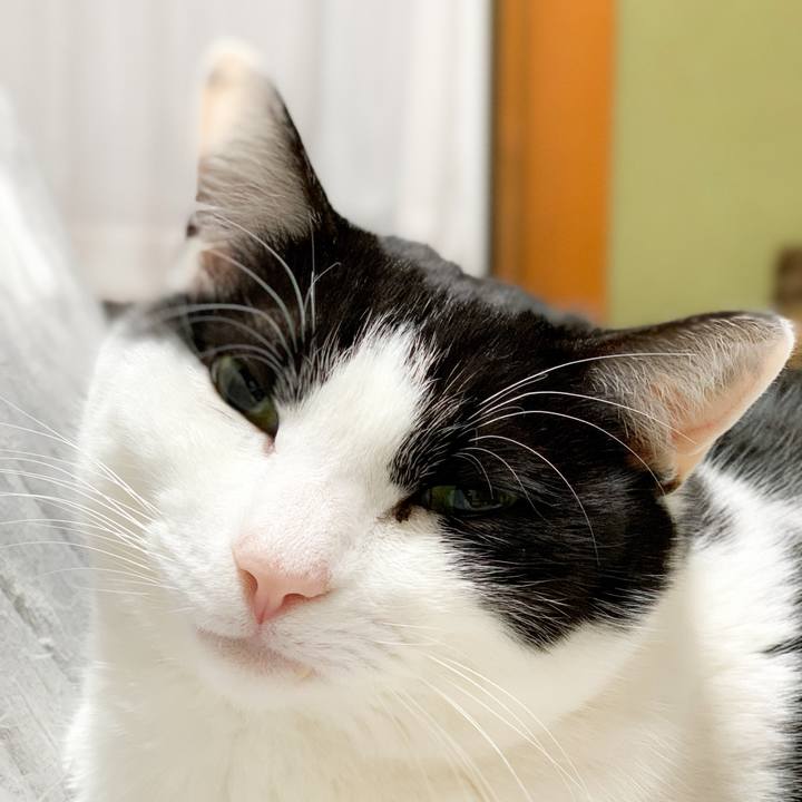 7c7248de 7572 411b 9f91 d5b0bdc63467 1584410055206