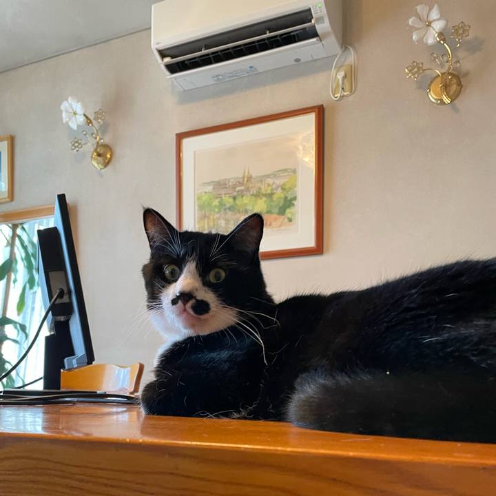 7c727a2a 0720 4849 9fa8 f551c107dce4 1725411881707