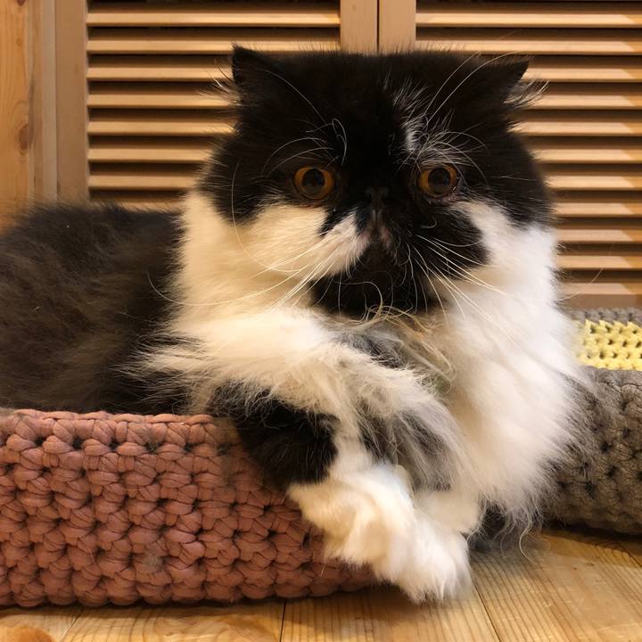 7c72e57d 0010 46b3 81f0 fdf63c74afa0 1537539854486