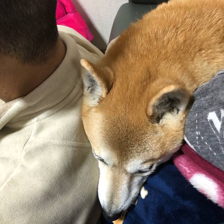 7c7343a2 c648 4ed2 84a0 7d1983a86eba 1607350411477