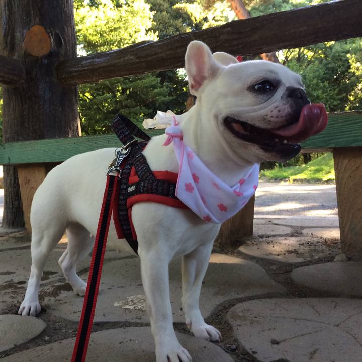 7c735780 f98f 4842 b01b 97190f48836f 1530322749650