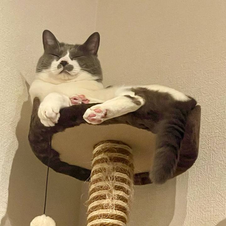 7c7376b6 a67a 416a aeb4 7d9120cf4176 1715784866953