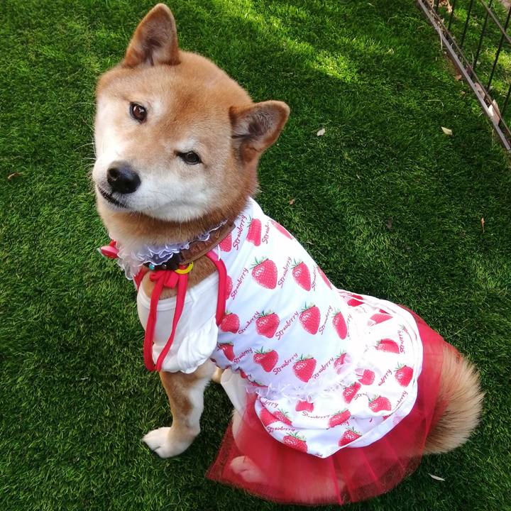 7c739472 92c5 40ed b36f 0633e572326e 1581573183887