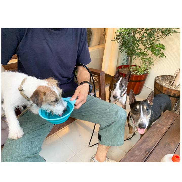 7c73a638 dbe8 4569 a9bf 74f7d4e3546a 1567165251142