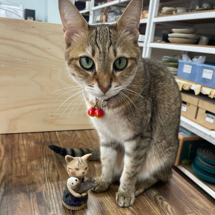 7c73cc72 1187 4a0e ba17 ecfab85ddc85 1734614581163