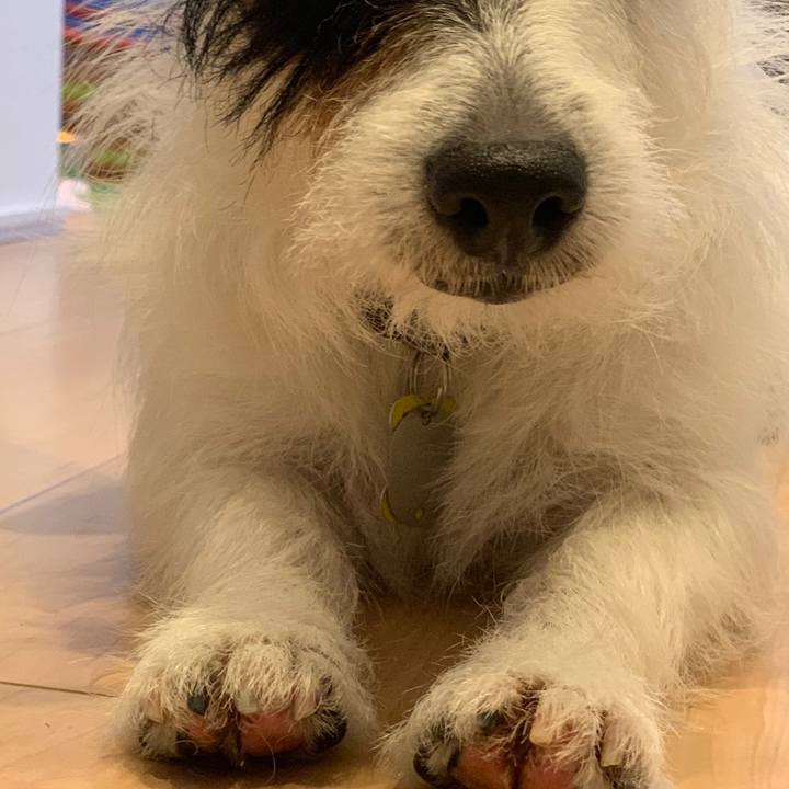 7c73def9 cd84 4b64 9652 3fb5ec6c6597 1558620555823