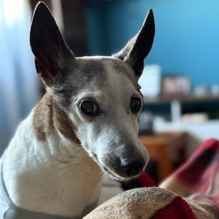 7c740ace 064e 41f7 9deb 156d33ee6f9b 1764339390704