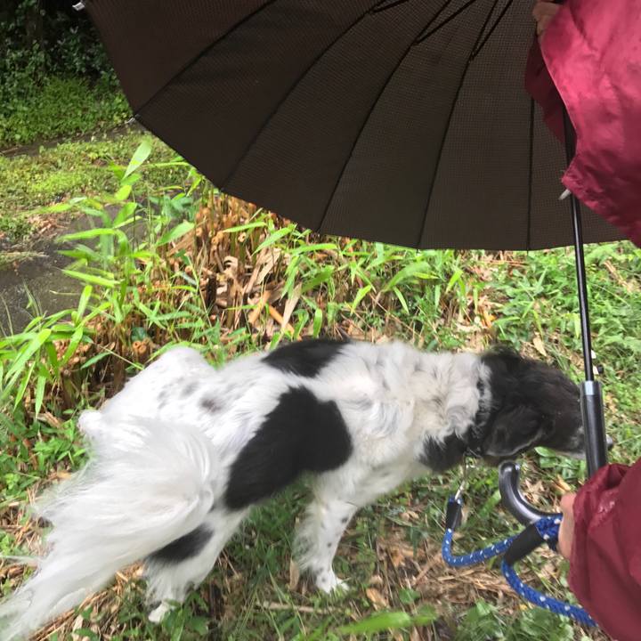 7c741aaa 5351 48e2 b2a9 f63d33bbefe7 1538314929604