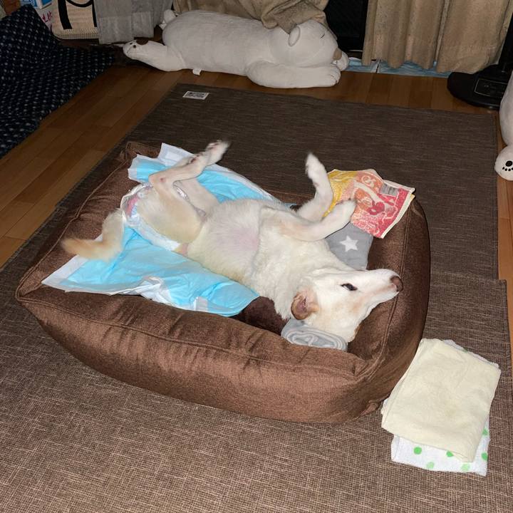 7c745514 d717 4bee abaf abda9ac14c84 1666289350807