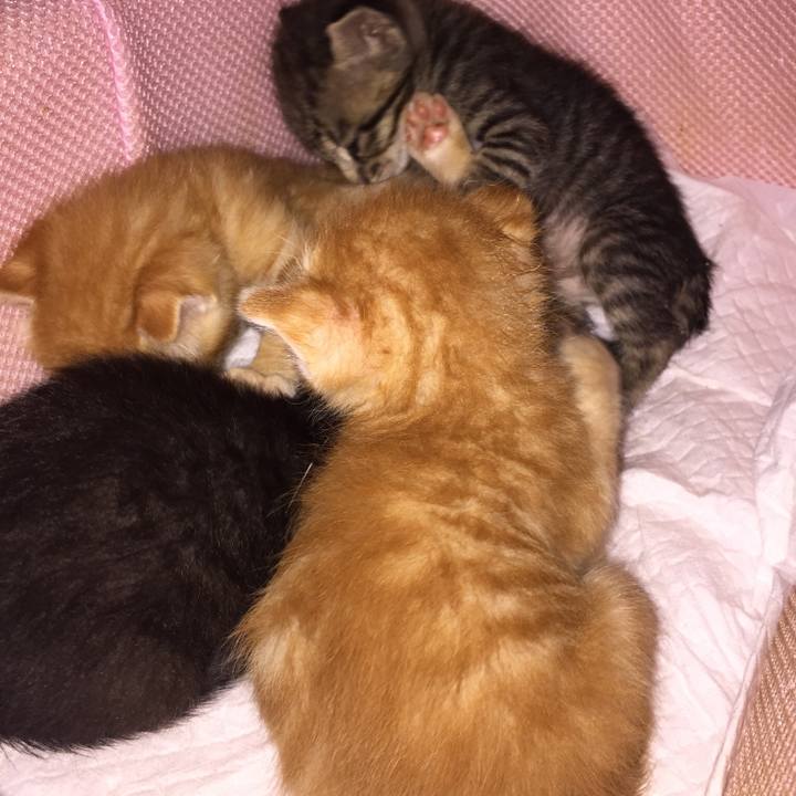 7c745841 18f3 4521 8e4d 6067fff45efb 1532328753257