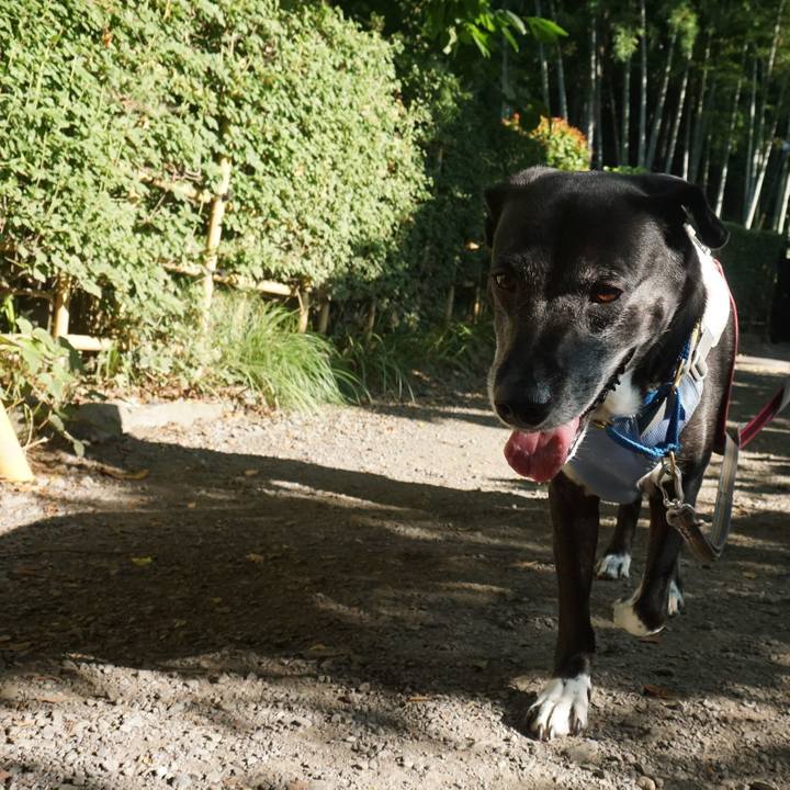 7c747ca8 e2a4 4304 9224 f13d1587a5e1 1755561601469