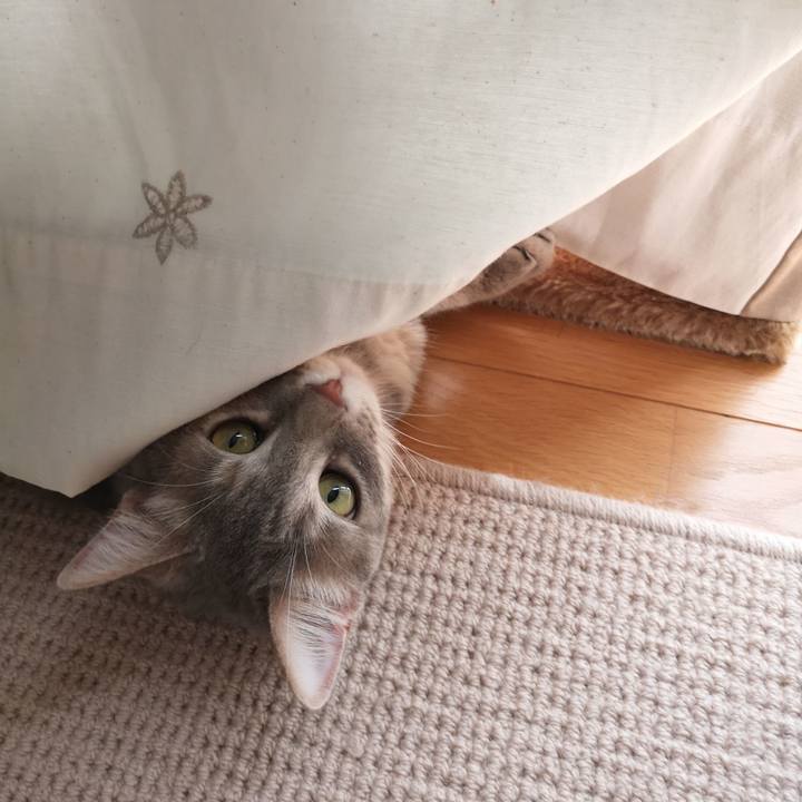 7c748fd7 3ece 43df ab41 cfabd0f38c1b 1557397817720