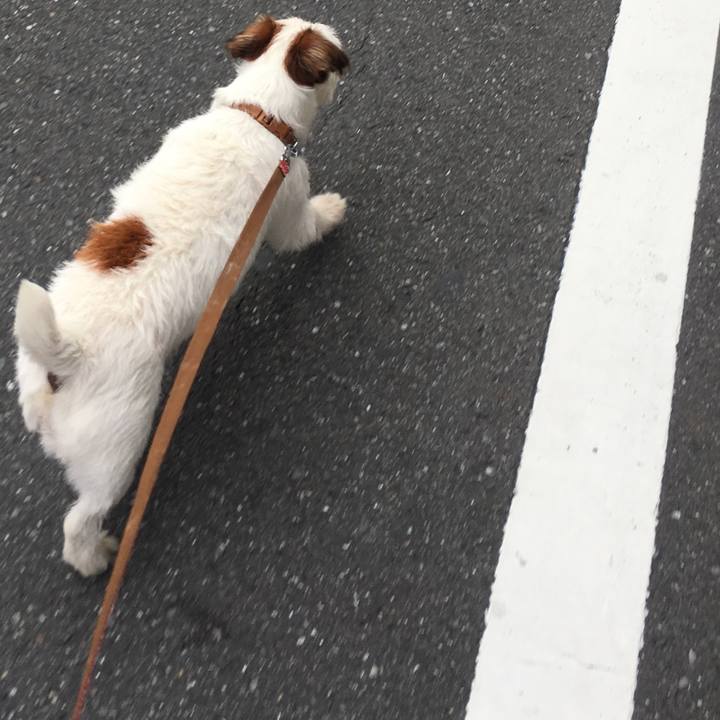 7c74b117 1fff 47cd 8461 89a8ff0acbd9 1536665470075