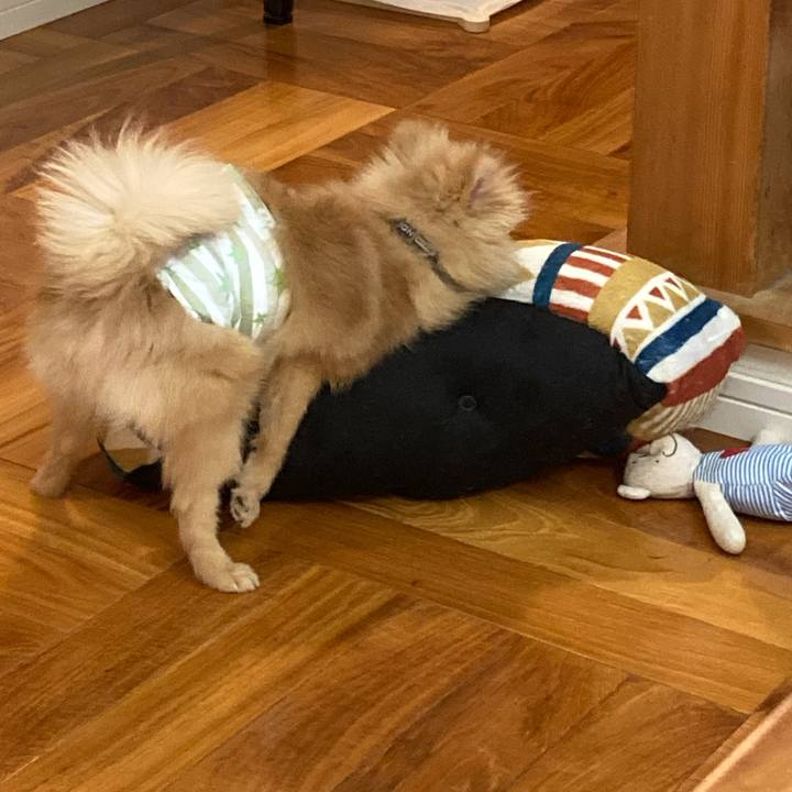 7c74b36b a81a 4478 af49 eeeb2adf2b93 1644643231941