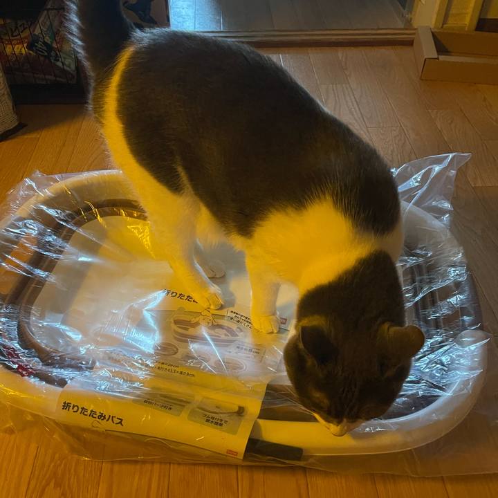 7c74b805 b689 4e29 9f92 648bf453e419 1752304452701