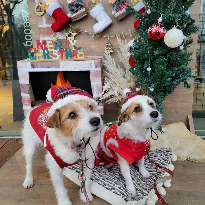 7c74f601 7825 4be9 9957 31b9abdbe536 1671370986397