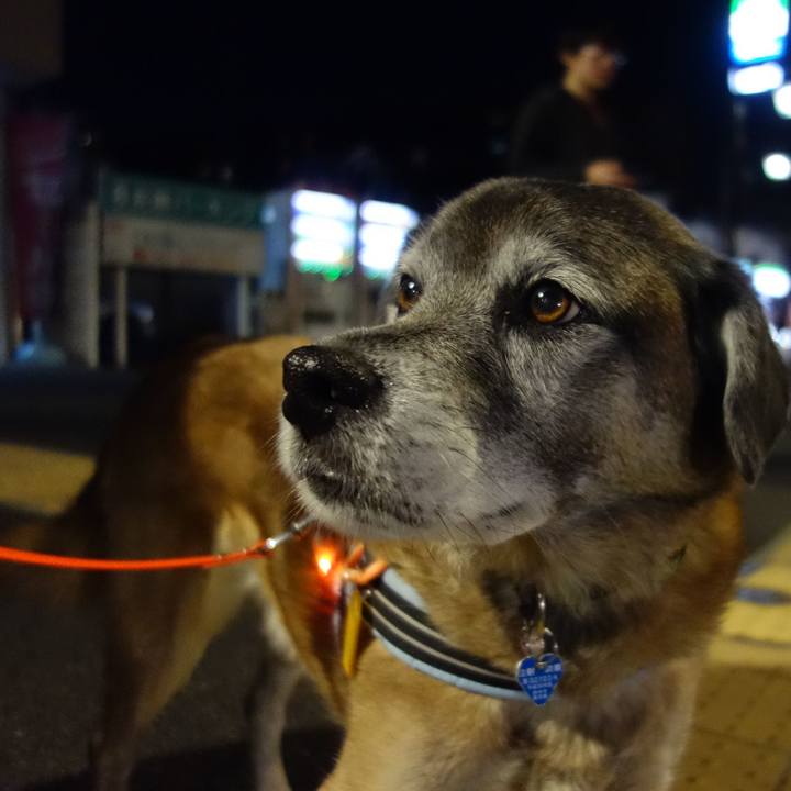 7c750e3f f6e5 420b 9b13 2eb13153323b 1550407263096