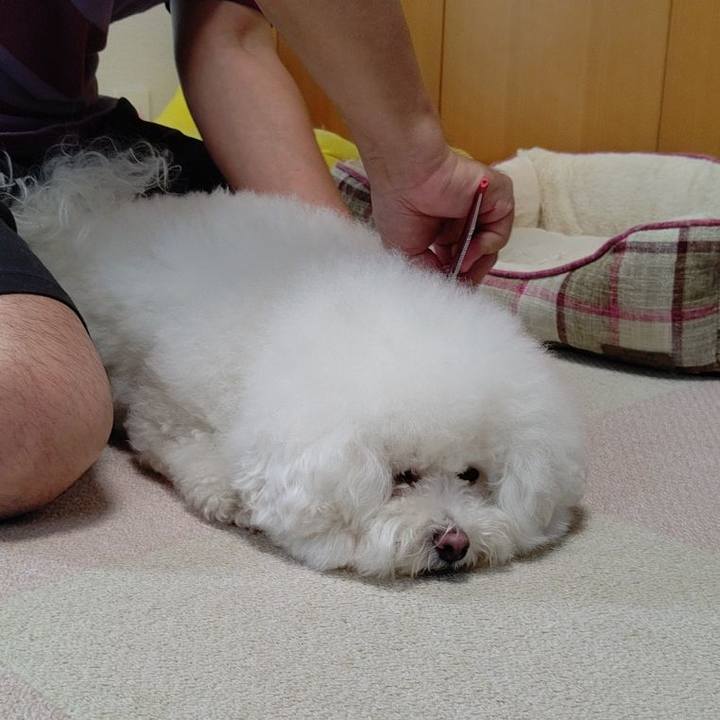 7c752048 f59b 4a32 82ca d302c20da825 1593320575430