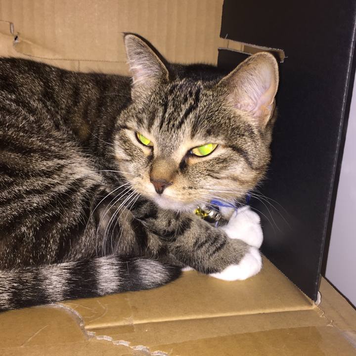 7c75236b 3ca2 4395 a372 60ee5c73b3e8 1547125567388