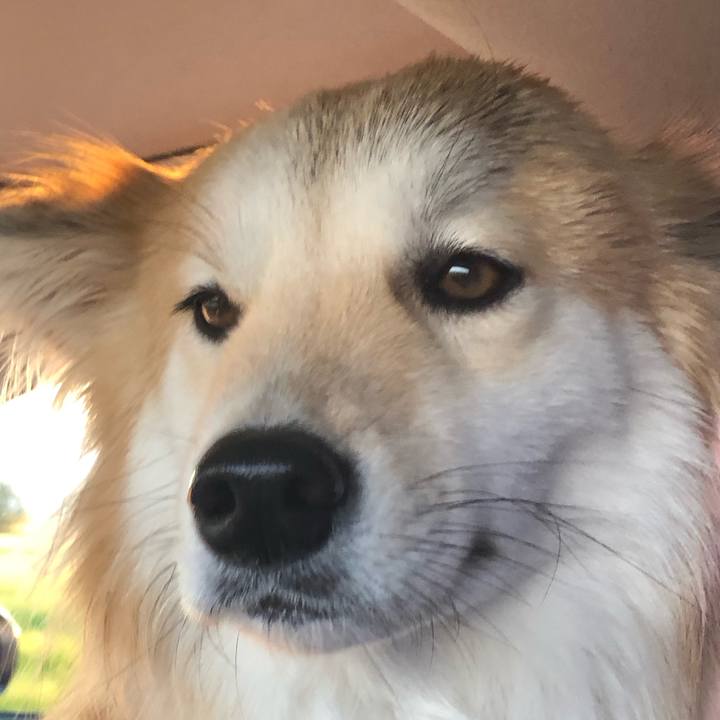 7c752a8f f377 4ee7 886e 3e90e7bc7692 1588330249573