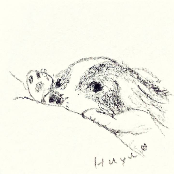 7c7546a9 f0f7 4bbf aaae 360f37cd77db 1642029865029