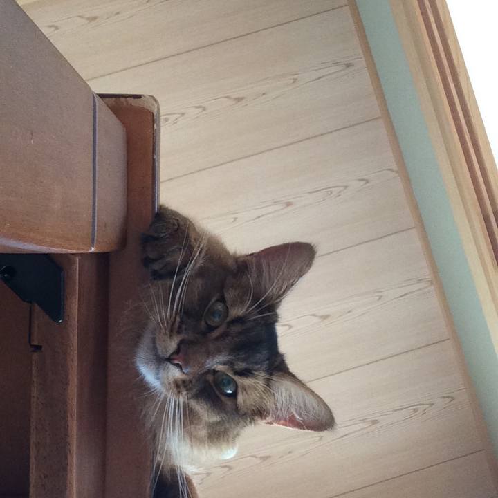 7c754e3f b794 4f17 880d 8ca5467831c5 1625524218466