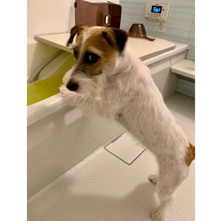 7c7552c0 6787 46d0 9521 1e05c1090829 1603632975392