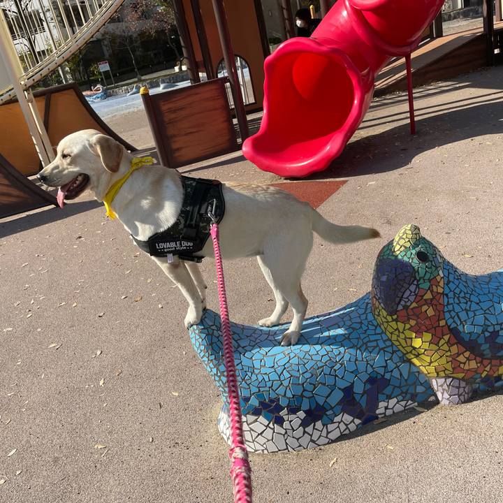 7c75608c 51ab 4d6f a07c 1e1654c36a80 1637364872218