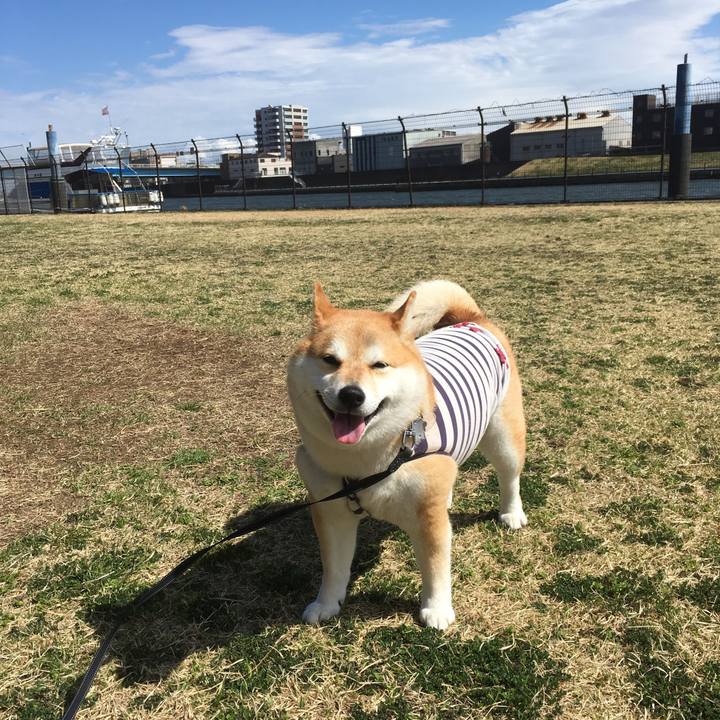 7c75641d 7dca 44cb b4f9 5e27327163d5 1553143897014