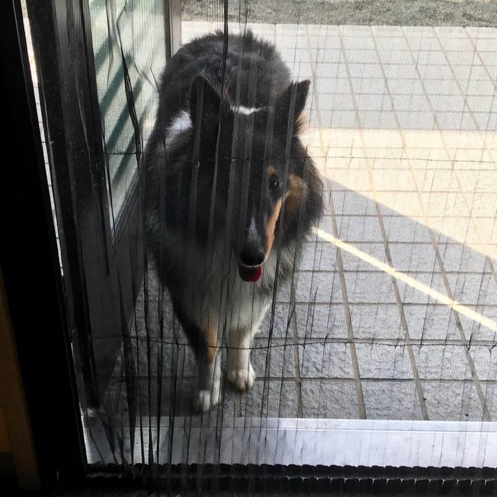 7c759794 f6b9 4e7f bc0a 4e4735043c77 1531174138061