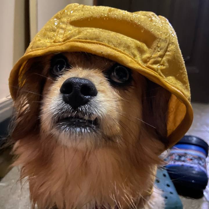 7c759e15 487c 46b1 a525 c65499ef1c2f 1583629048308