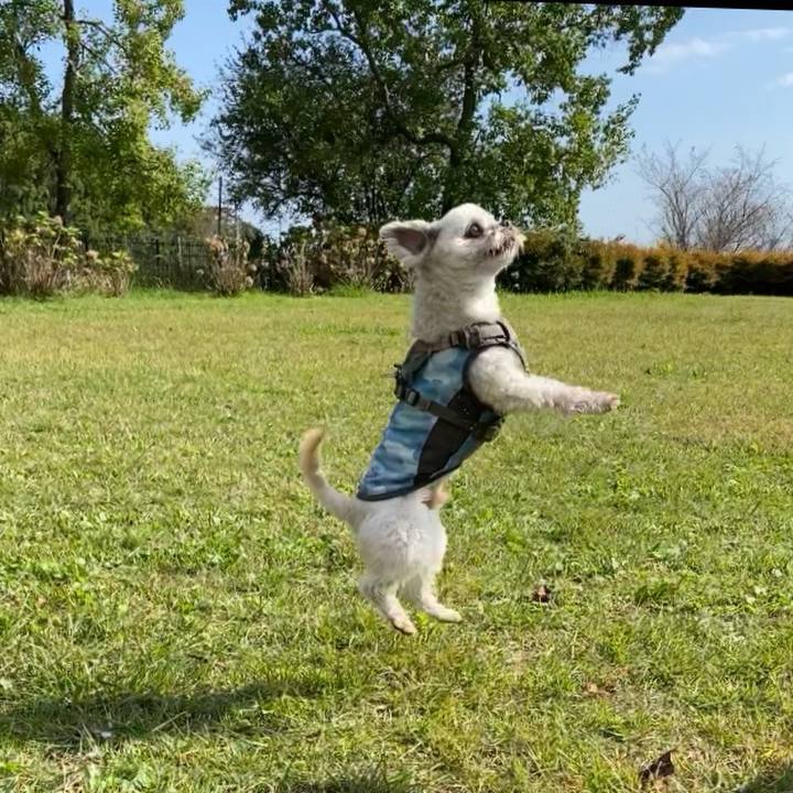 7c75a389 dcbd 4c79 bb01 b57478f3f111 1730807518000