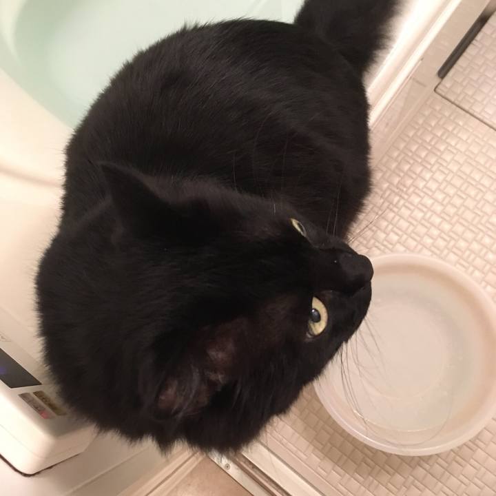 7c75bb7d cd12 469f b10f 96a6017b145c 1529585397500