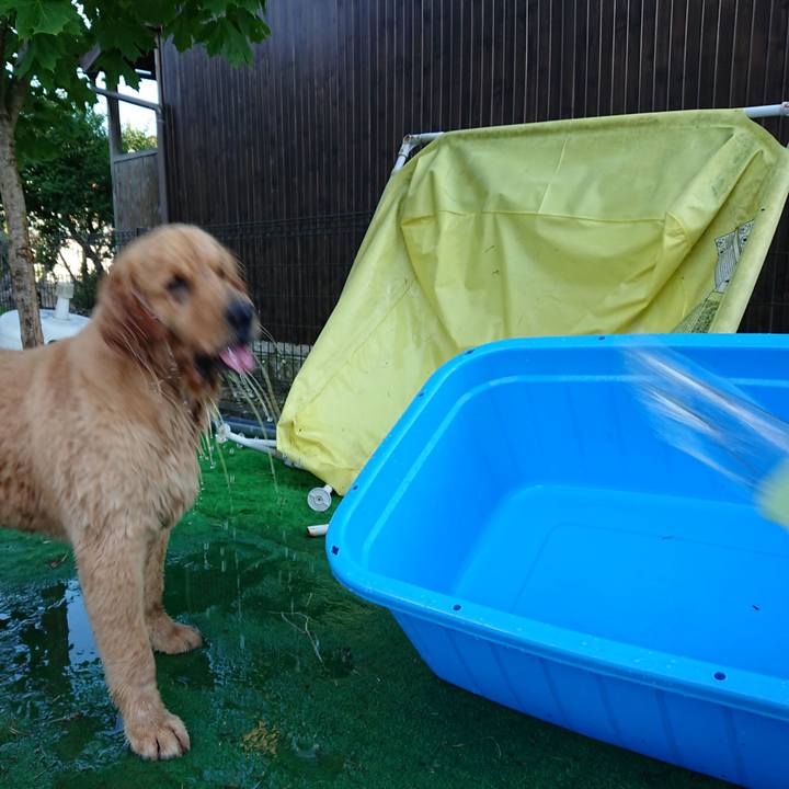 7c75e5a4 e639 47b2 a7da fcb2e3e3892a 1532443298025