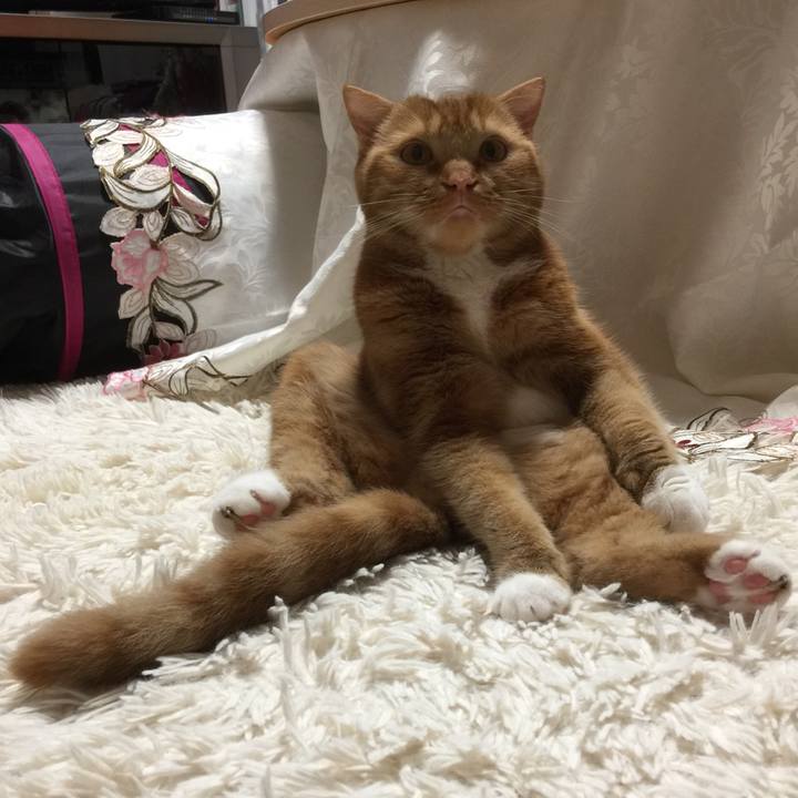 7c75ebd3 87e4 4b26 a8cf 2a964a2b0790 1561816017910