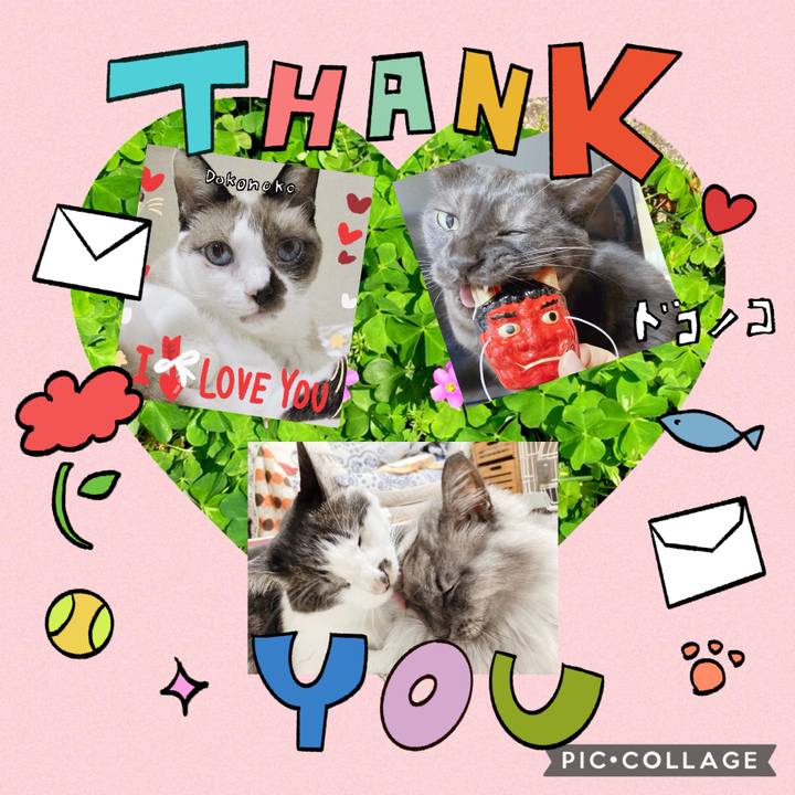 7c761365 46fb 4c27 8b22 a3b7b792fc80 1715239746579