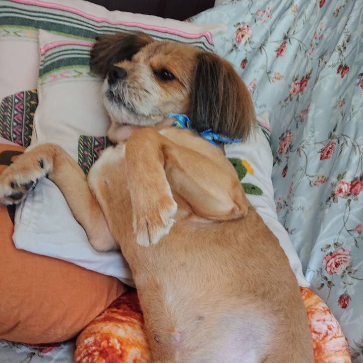 7c762b50 2379 4e68 825f 3a5ced1cf4af 1565583656964