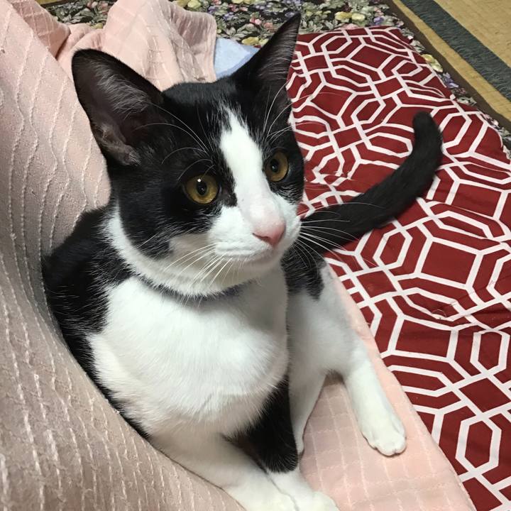 7c763737 f8d7 4f7c bd72 339ce901081d 1637554971790