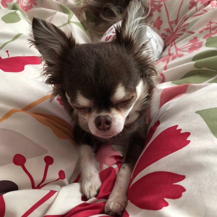 7c765480 f29f 4ebe b1a8 1122a360e350 1541986070776