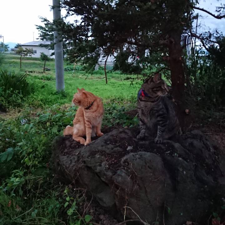 7c765a70 d3aa 4fba b9c5 366fed9b78b2 1657621590524