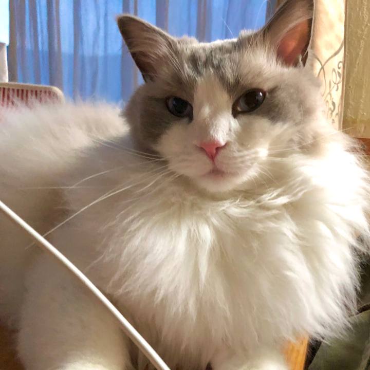 7c7680e7 7e67 4065 add9 1e2febe7b380 1627004614672